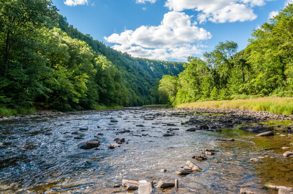 pine,creek,meanders,around,rocks,and,smooth,boulders,in,the